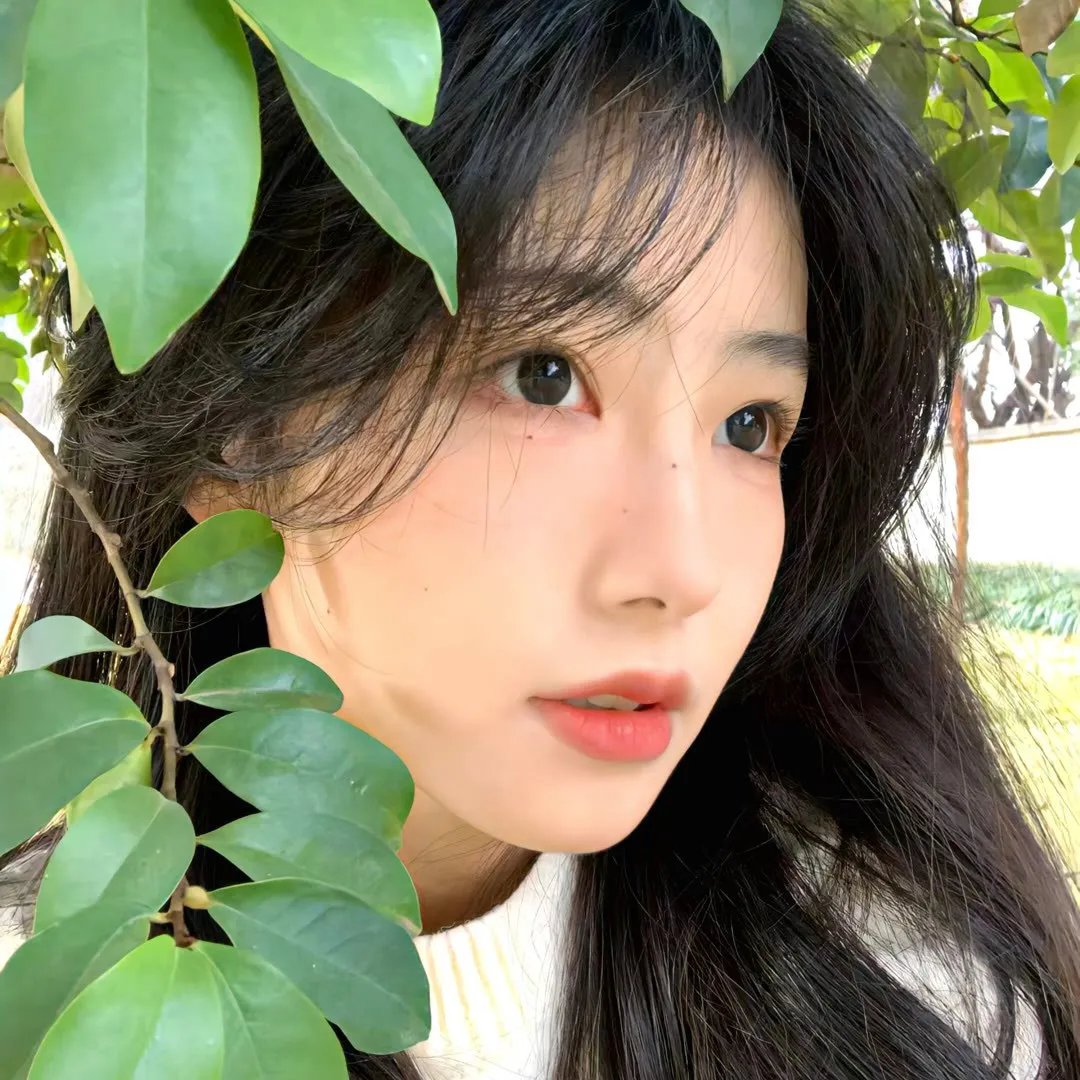 炎之舞
